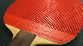 [TT] Spinlord Fire Sting Pro