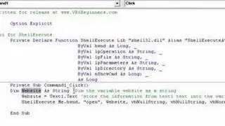 VB6 Opeing Internet