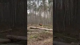 новая лесосека на 34 куба