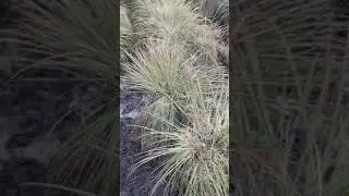 13 сентября 2021 г.