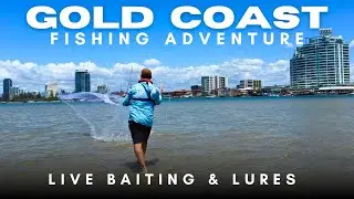 Gold Coast Broadwater Fishing with Live Bait & New Lures!