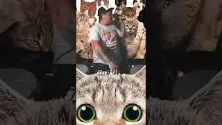 Tune in to Cat House live on Twitch 🚨 all the links on my page #basslinehouse #dj #basshouse #djmix