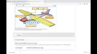 H5P Drag and Drop activity