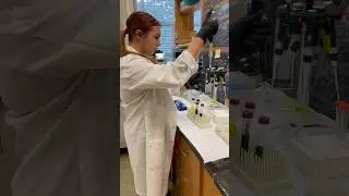 Lab ASMR with Sam Muller at the Shriver Lab | Penn State Anthropological Genomics 