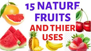 Nature Fruits and their Benefits|| Fruits In Our Environment|| Primary Art Lesson