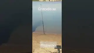 #рыбалка #окунь#shorts