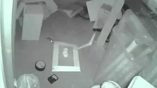 The Death
