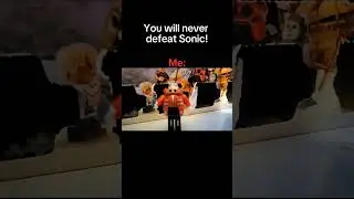 You will never defeat sonic the hedgehog!