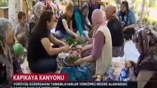 Karaisalı Kapıkaya Kanyon,Yerköprü ve Varda Köprüsü