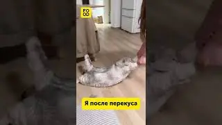 Может не пойдём? 