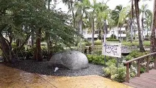 Wild Animals in the center of Catalonia Resort Punta Cana Dominican Republic