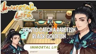 Immortal Life - How to Catch A Rare Fish Black Goldfish