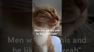 hell yeah #viral #memes #funny #cat