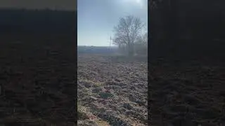 Скільки коштує культивація ????