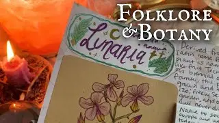 Journal with Me | Lunaria Grimoire Page