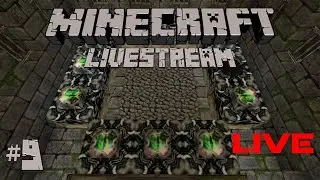 THE END! | Minecraft Livestream #9