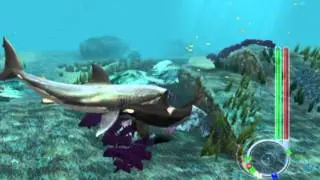 Jaws and Orca