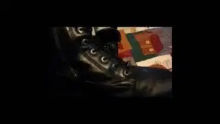 I Fixed Forever Motorcycle Boot Zippers coming Loose!!!