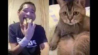 А котику?)