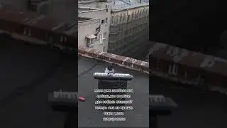 #жиза