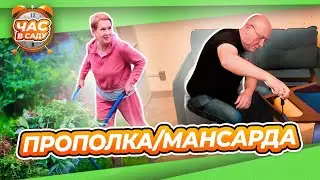 ЧАС В САДУ 15 июня 2024 год | ГОЛУБИКА УХОД И МУЛЬЧА | НОВЫЕ КРЕСЛА И СТУЛ НА МАНСАРДУ