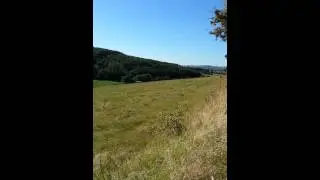 Flou au travail