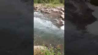 Узбекистан, Янгиабад.