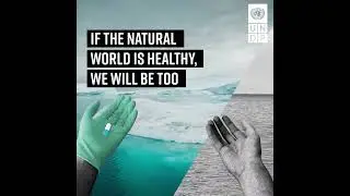 Our Health Depends on Biodiversity