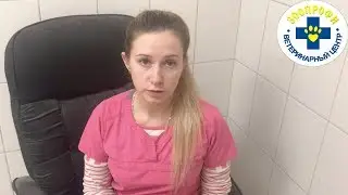 СРОЧНЫЕ МЕРЫ И ОСНОВЫ РЕАНИМАЦИИ ПРИ ОБМОРОЖЕНИИ ЖИВОТНОГО!