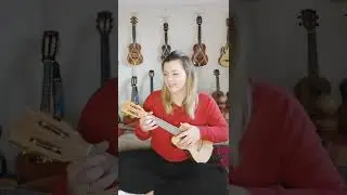 Wine, Beer, Whiskey by Little Big Town ~ Ukulele Cover