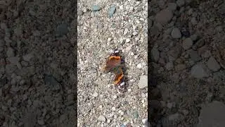 дача Талдом любовь