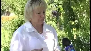 Агрошкола 