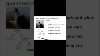 Quantitative Data | What is Data | What is Data Structure | C Language