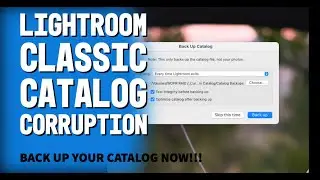 Back up your Lightroom Classic Catalog . . .NOW!!!