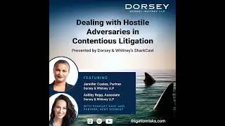 Dealing with Hostile Adversaries in Contentious Litigation