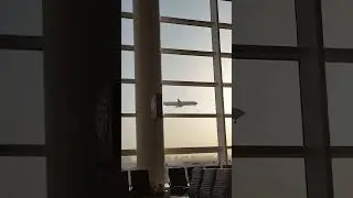Plane spotting at Dubai Airport 
