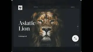 HTML , CSS AND JAVASCRIPT SLIDER
