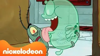 SpongeBob hilft Plankton mit seinen WELPEN 🐶 | Nickelodeon Deutschland