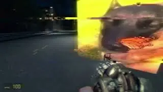 VHS TAPE 10.08.2023