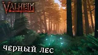 ЧЕРНЫЙ ЛЕС - Valheim #2