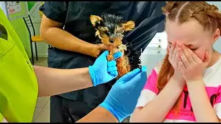 Что СЛУЧИЛОСЬ с НАШЕЙ ДЕВОЧКОЙ НАОМИ ? Почему мы в больнице ?