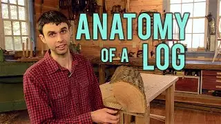 Anatomy of a Log