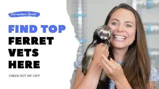 Ferret Health : Choosing a GOOD Vet