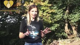 Katie Rushworth's Glade Part One