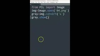 Image Processing in Python 