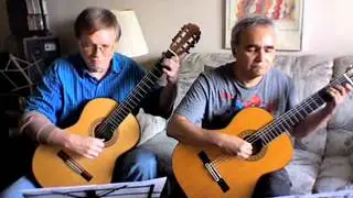 Allegro Moderato - Napoléon Coste - Played by Nylon Tapestry