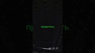 💭Можно ли приручить световода в бекрумс🤔 #закулисье #backrooms #дримкор #dreamcore #roblox #бекрумс