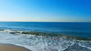 Nature and animals wildlife videos birds and animals is beautiful nature and amazing Good song