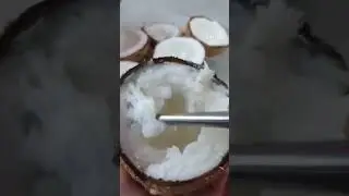 Coconut Sport or Macapuno #shorts #fyp #foryou #macapuno #coconutsport #philippines