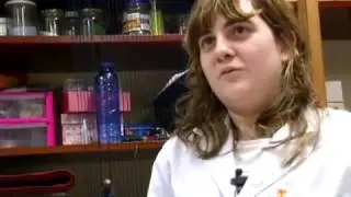 Artefíos en HOXE POR TI TvGalicia.